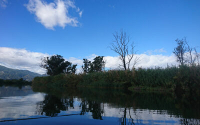 Gestión del campo de captación de agua salada de Marana Golo