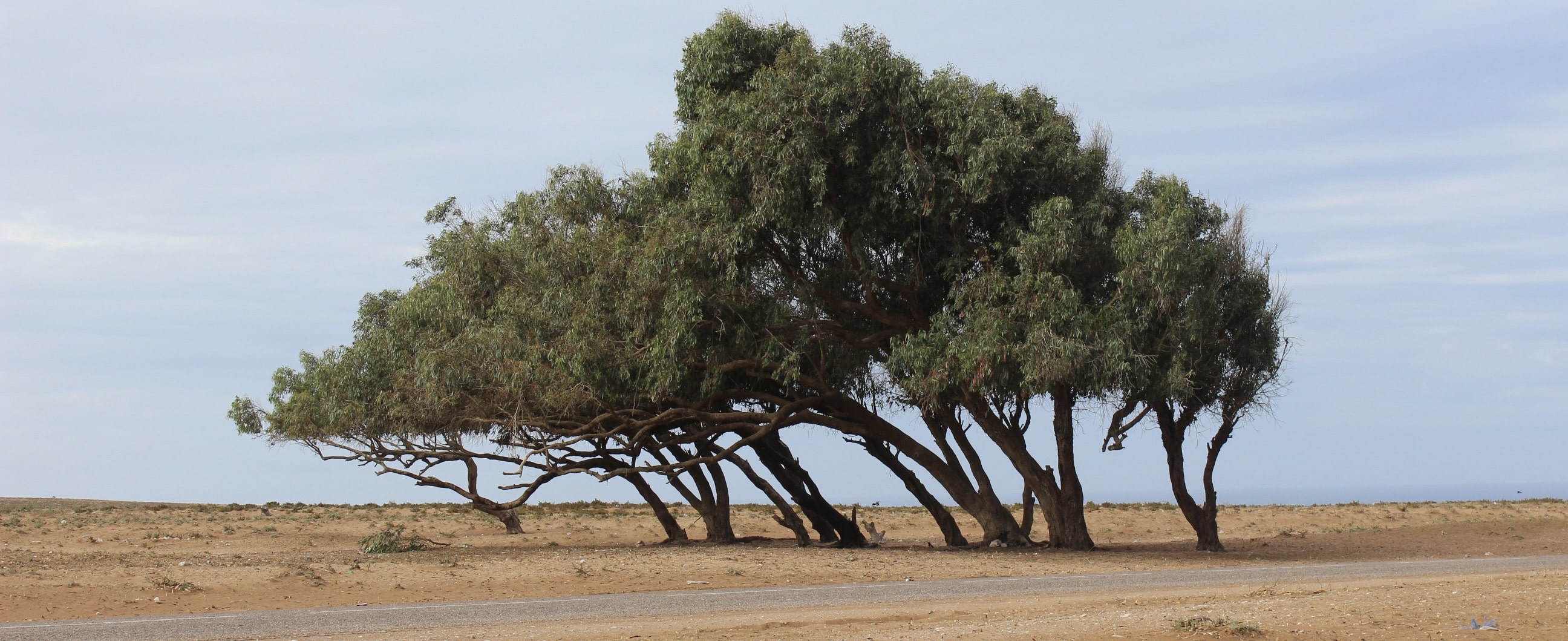 Oum-Errabia-Maroc