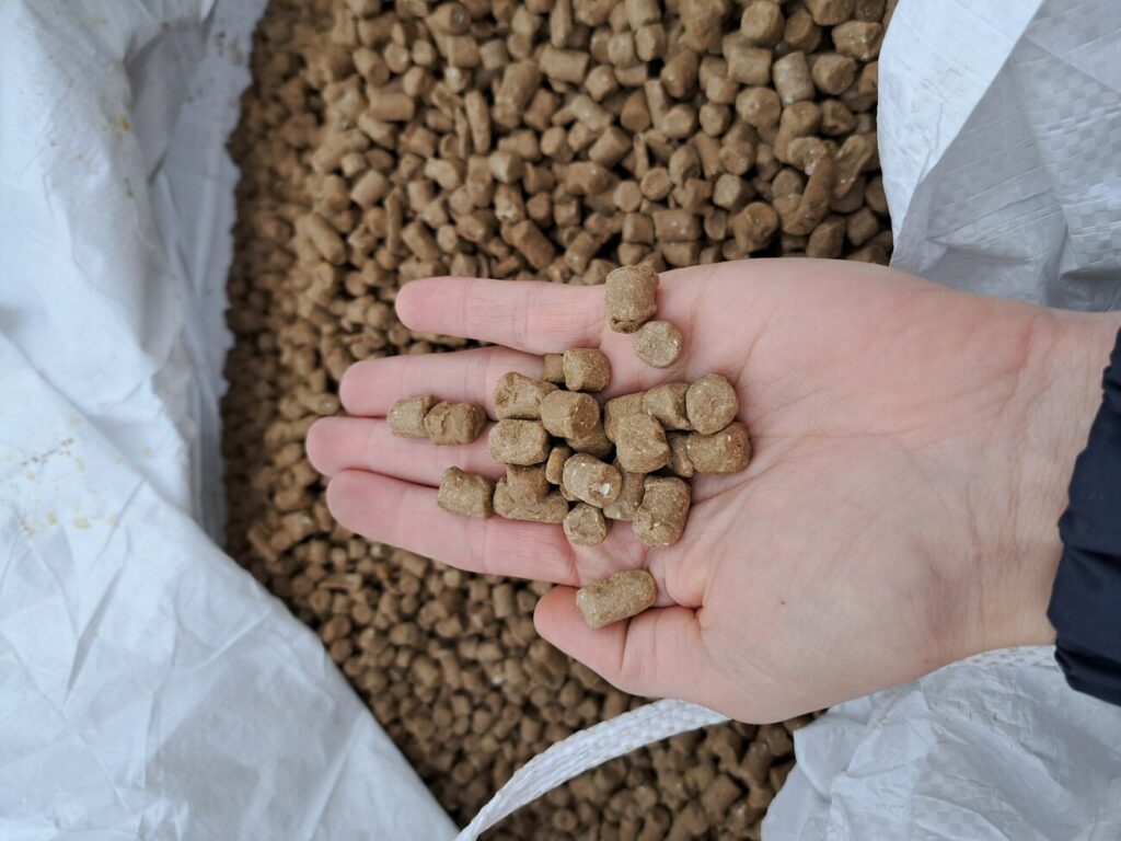 Bille d'argile (bouchon d'étanchéité)